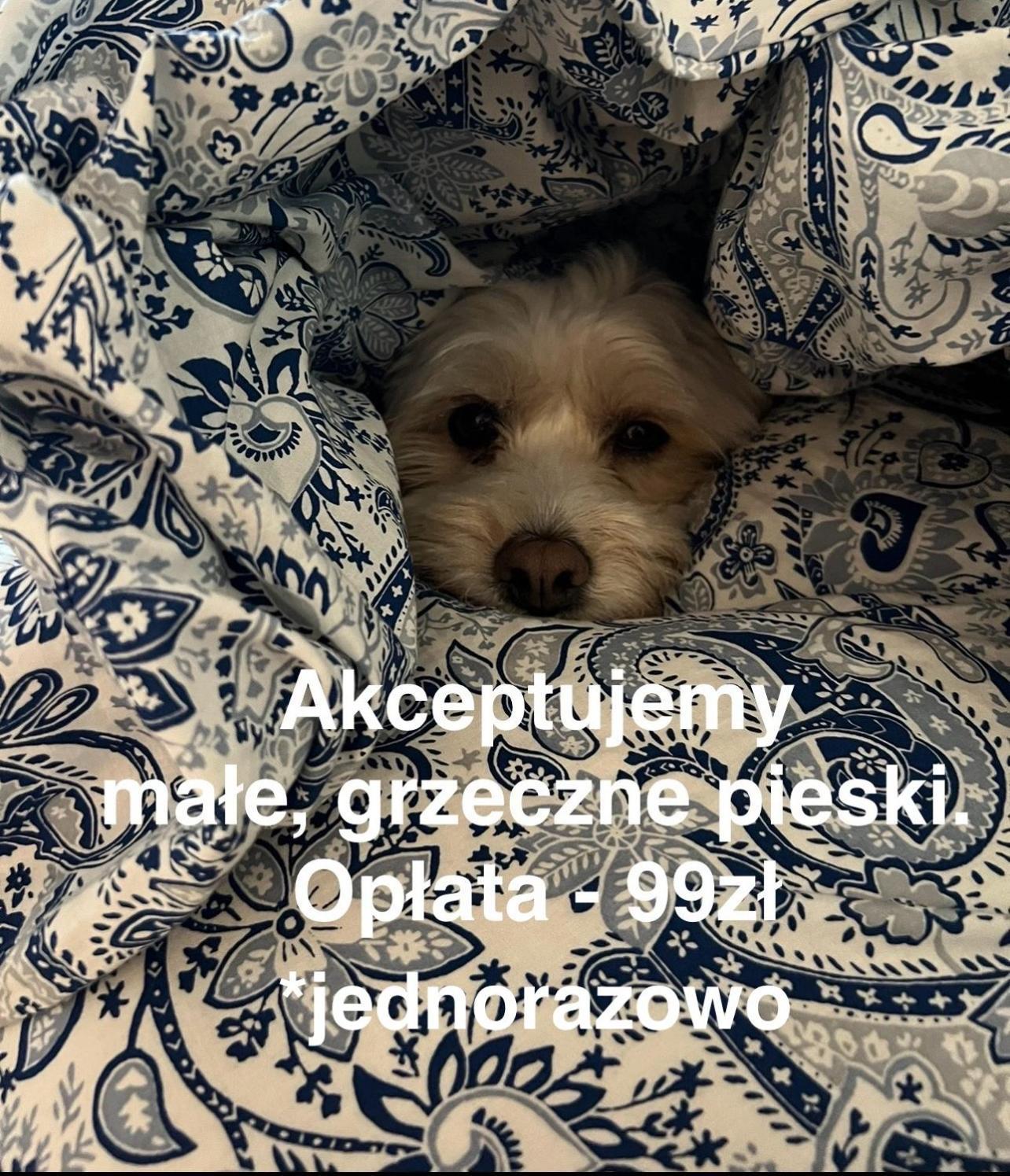 Apartment North Nest Luxury